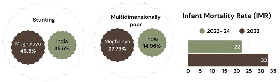 Development Challenges Infographics