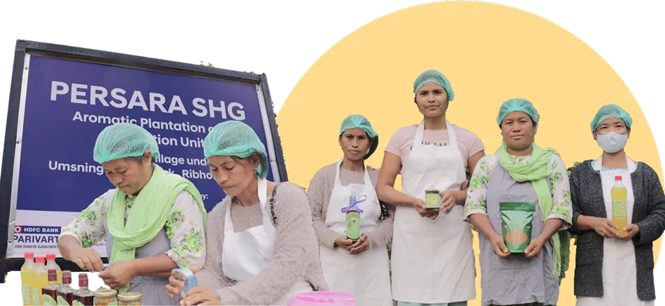 Livelihood Component