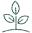 growth